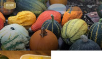 bielefelder-foodblog.de