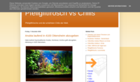 froschchili.blogspot.com