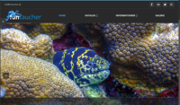 www.funtaucher.de