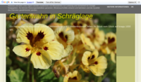 gartenwahn.blogspot.com