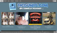 www.picdumps.com