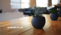 raus-aus-der-box.com