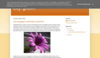 www.scharlach.de