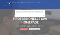www.schwarz-web-service.de