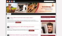 www.seo-heads.de
