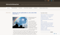 sglscheuermann.com
