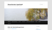steuerberateringolstadt.com