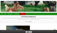 www.strandhaus-brasilien-kaufen.com
