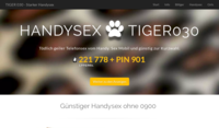 www.tiger030.de