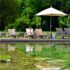 Der Schwimmteich