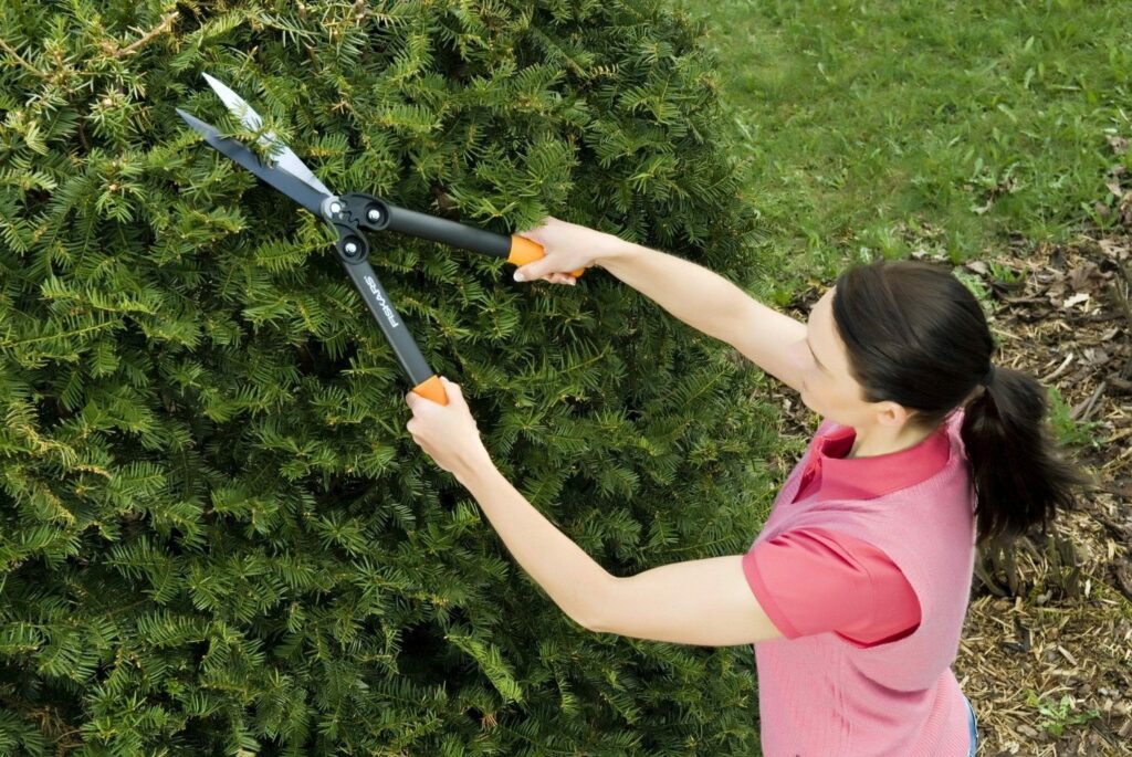 Manuelle Heckenschere Test + Vergleich 2024 ᐅ TÜVzertifiziert