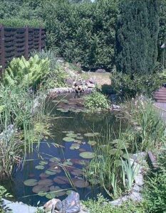 Es gibt wenige Alternativen zum Teichfilter für den Gartenteichbesitzer