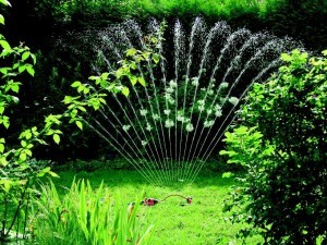 Hauswasserwerk Gartenbewässerung