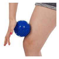 Alles rund um den Igelball