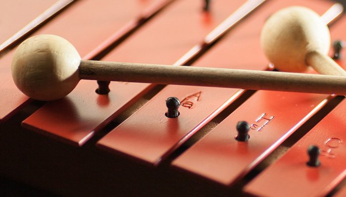 Xylophon Test + Vergleich im April 2021 ᐅ TÜV-zertifiziert