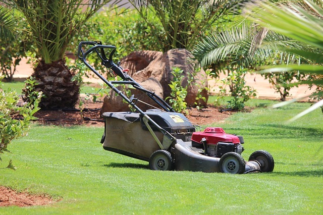 Benzinrasenmäher von Honda im Garten