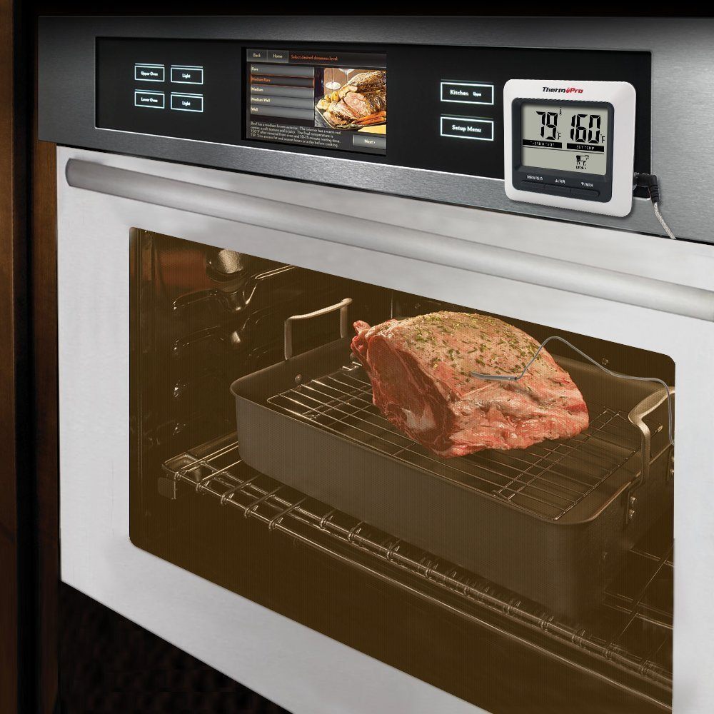 10 2 Grillthermometer Thermopro Tp04 Test