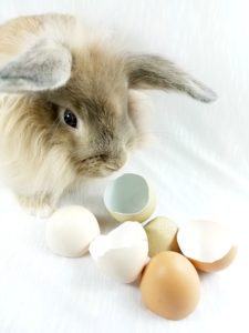 Ostergeschenke Die Perfekten Geschenke Fur Ostern