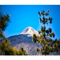 Ferienwohnung Teneriffa %E2%80%A2 Atico Los Cristianos