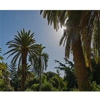Ferienwohnung Teneriffa %E2%80%A2 Modernes Penthouse Mit Meerblick