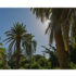 Ferienwohnung Teneriffa • Modernes Penthouse mit Meerblick
