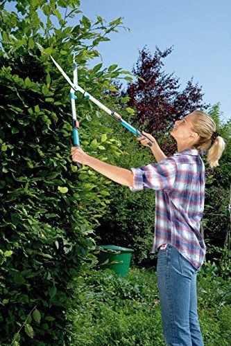 Manuelle Heckenschere Test + Vergleich 2024 ᐅ TÜVzertifiziert