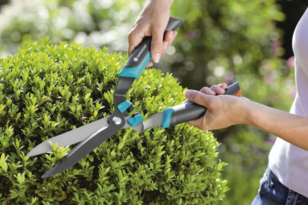 Manuelle Heckenschere Test + Vergleich 2024 ᐅ TÜVzertifiziert