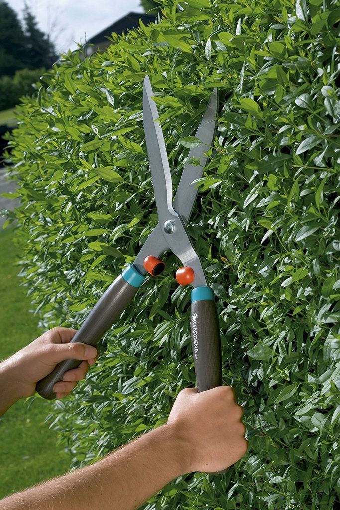 Manuelle Heckenschere Test + Vergleich 2021 ᐅ TÜVzertifiziert