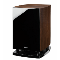 Wie baue ich selber ein Subwoofer?