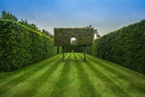 Heckenschneiden im Park mit Florabest im Akkuheckenscheren Test