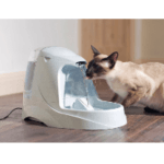 Katzenbrunnen Test - so verlängern Sie die gesunden Zeiten Ihrer Katze - Vergleich der besten Katzenbrunnen 2025