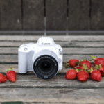 Bridgekamera Test - für höchst professionelle Fotos - Vergleich der besten Bridgekameras 2025