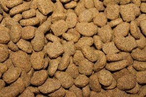 Das Hundefutter Platinum Fleischstücke im Test & Vergleich