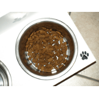 Reico Hundefutter In Schale