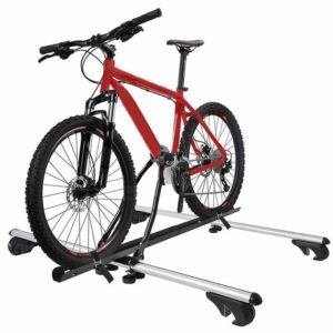 Welche Arten von Fahrradträger gibt es in einem Test?