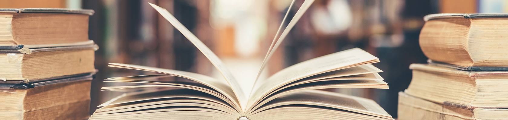 Die !X! besten Literatur Blogs