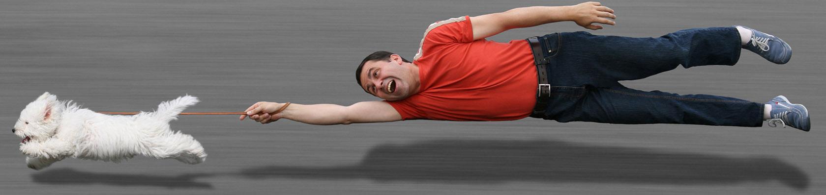Die !X! besten Spiele & Humor Blogs