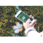 iPhone 6 Test 2025 • Die 10 besten iPhone 6 Produkte im Vergleich