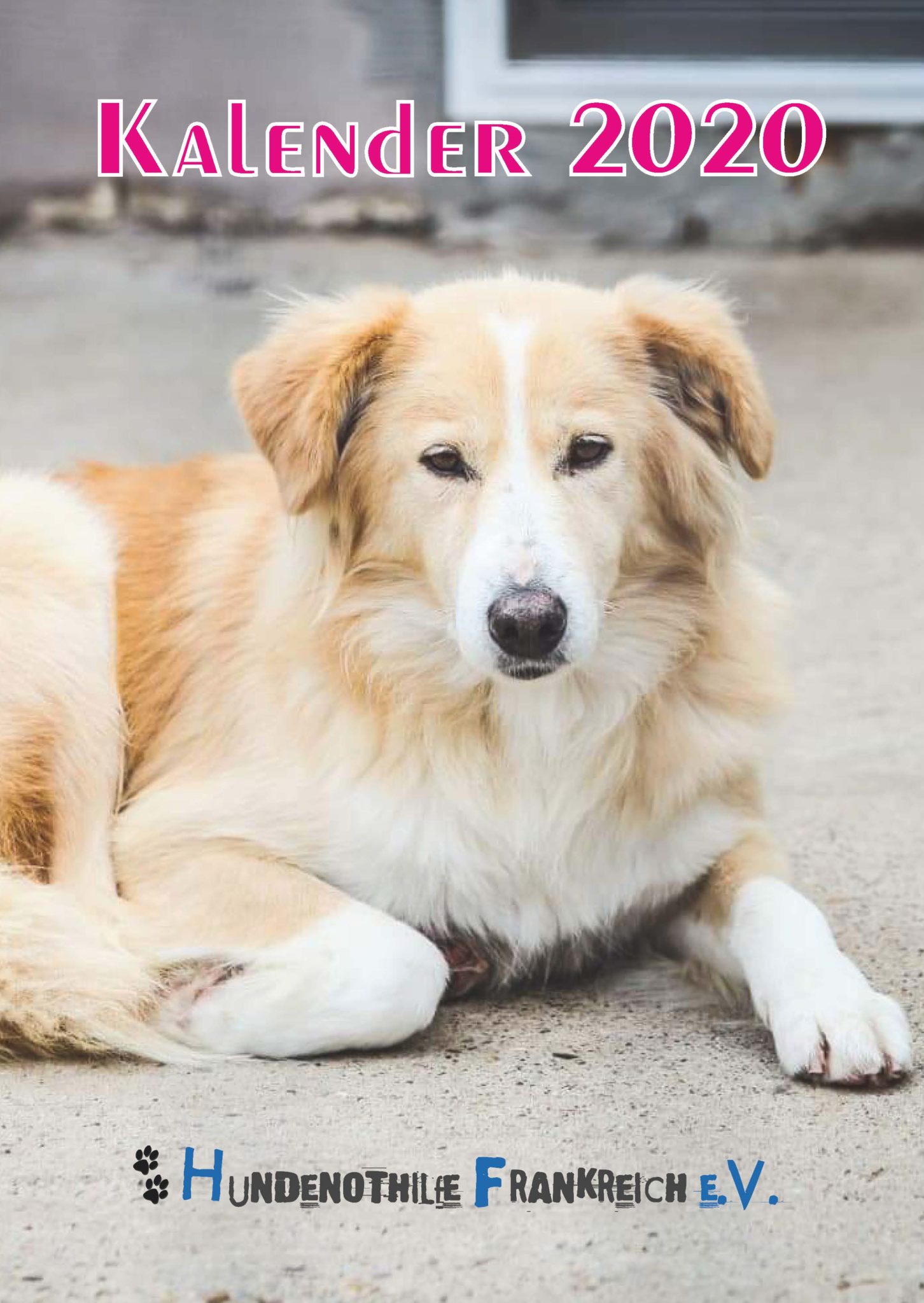 Hundenothilfe Frankfreich e.V. für Hunde in
