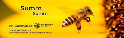Bienenzucht-Profi - Bienen und Zubehör online kaufen