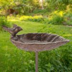 Vogeltränk Stein Test 2025 • Die besten Vogeltränke Stein im Vergleich