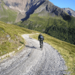 Gravel Bike Test 2025 • Die 4 besten Gravel Bikes im Vergleich