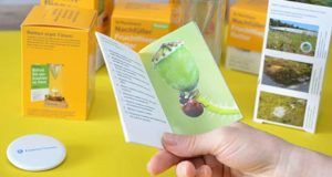 Was ist die Geschichte der Fruchtfliegenfalle?