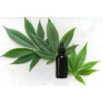 CBD Öl Test 2025 • Die 13 besten CBD Öle im Vergleich