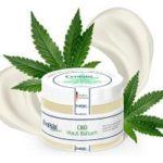 CBD Creme Test 2025 • Die 5 besten CBD Cremes im Vergleich