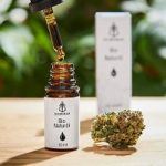 CBD Öl 10% Test 2025 • Die 11 besten CBD Öle 10% im Vergleich
