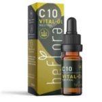 Vollspektrum CBD Öl 10% Test 2025 • Die 5 besten Vollspektrum CBD Öle 10% im Vergleich
