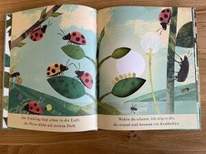 Es summt und brummt in der Wiese von Patricia Hegarty und Britta Teckentrup