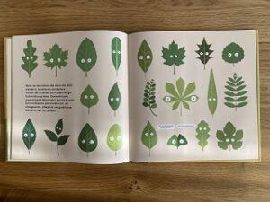 Altersempfehlung für das Buch Sei wie ein Baum 