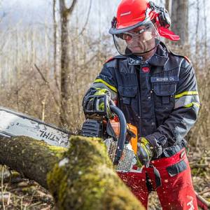 Kettensäge ohne Schein benutzen